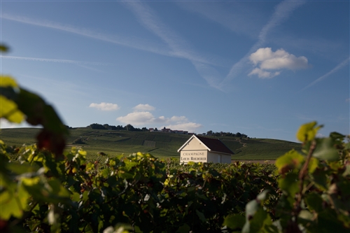 Roederer 2