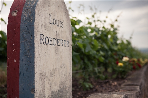 Roederer 3