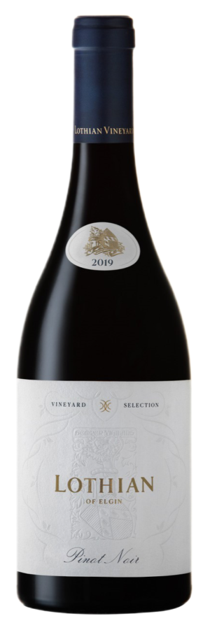 Pinot Noir 3 - weindepot