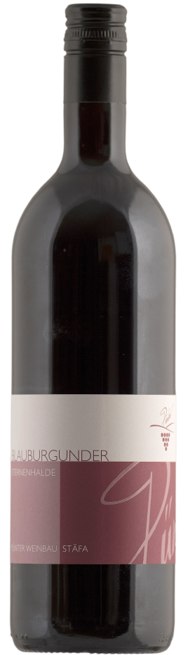 DSY9294 n Blauburgunder... removebg preview - weindepot